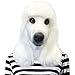 Off the Wall Toys Standard Poodle Mask Dog Halloween Costume Face Mask Kennel Club (White)