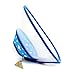 Dog Cat Vet Elizabethan Collar Cone Wound Healing Brace Blue S size