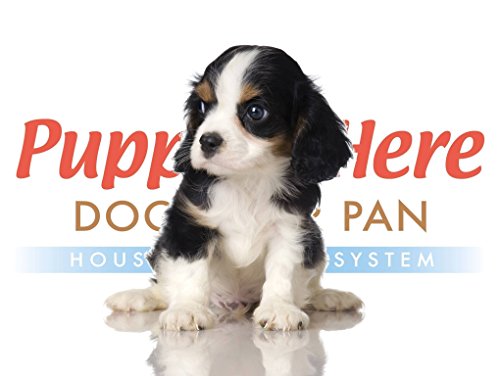 puppy go here litter box