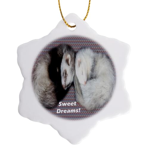 3dRose Sleeping Ferrets 3 inch Snowflake Porcelain Ornament