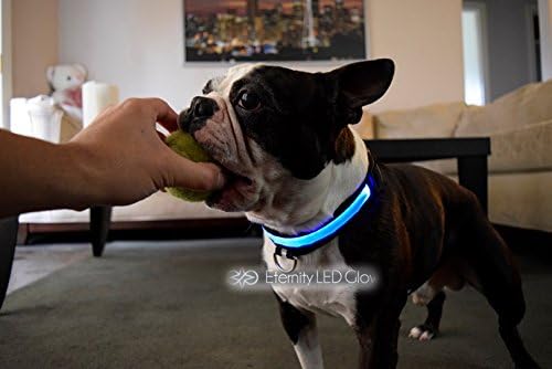 3 Mode LED Light up Dog/cat/pet Collars (S 13-15 Inch, Blue)