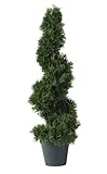 Nearly Natural 5160 Cedar Spiral Silk Tree Indoor/Outdoor, 2-Feet, Green