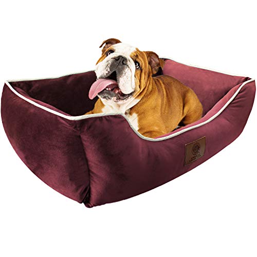 AKC Deluxe Small Dog Bed, Pet Cuddler with High Bolster Walls
