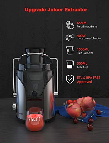 Homgeek Juicer Machines, Juicer Extractor with 3'' Wide Mouth, Dual Speed Mode Compact Juicer with Anti-Shake, Easy to Clean, BPA-FREE