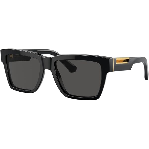Philipp Plein SPP160 0700 Square Sunglasses – Black / Grey Philipp Plein SPP160 0700 Square Shiny Black Sunglasses  main image 3