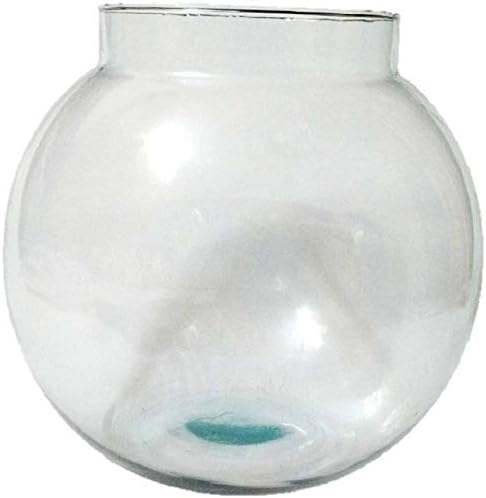 Afast Clear & Transparent Round Glass Fish Pot for Joom View of 8 Inch Table Top-Fb012