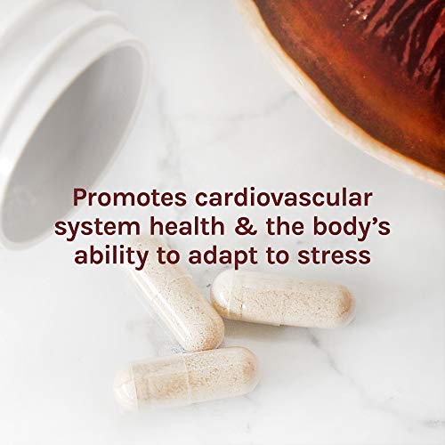 Host-Defense-Reishi-Capsules-Supports-General-Wellness-and-Vitality-Daily-Mushroom-Mycelium-Supplement-USDA-Organic-Gluten-Free-60-Vegetarian-Capsules-30-Servings