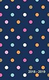 2018 - 2019: Two-Year Monthly Pocket Planner : 24-Month Calendar , Notes and  Phone book, Size : 4.0