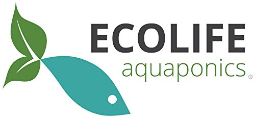 aquaponics and hydroponics – water wonders