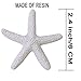 WXJ13 Starfish Decor Pencil Finger Starfish for Wedding Decor, 21 Pieces