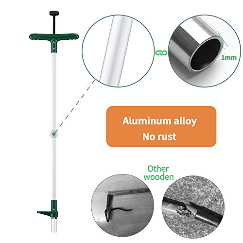 3 Walensee+Stainless+Strength+Permanently+Dandelion