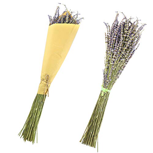 Oopsu 200Pcs 100% Natural Dried Lavender Dried Lavender Flowers for DIY Flower Arrangements Home Party Wedding Decor