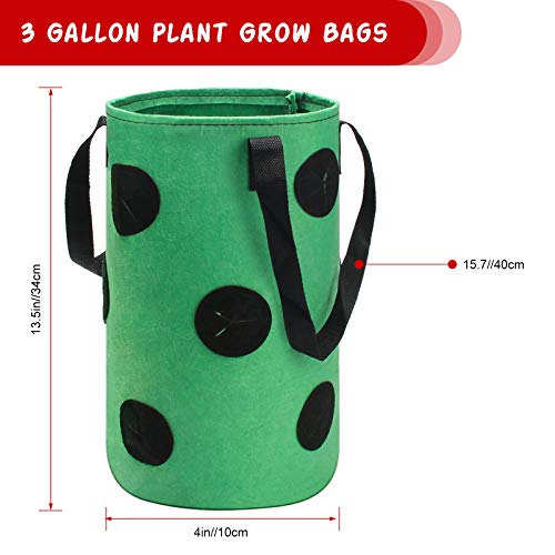 Strawberry Grow Bags 3 Gallon, Luxiv Strawberry Planting Bags with 12