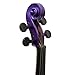 Mendini 16-Inch MA-Purple Solid Wood Viola with Case, Bow, Rosin, Bridge and Strings