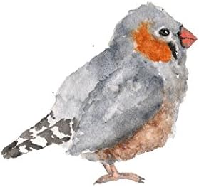 Watercolor bird print zebra finch bird painting
