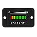 AIMILAR LED Battery Indicator Meter - Battery Charge Discharge Tester Gauge for Lead-Acid Battery Motorcycle Golf Cart Car Jet Ski (36V)