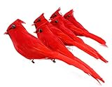 Cornucopia Brands Clip-On Realistic Feathered Red Cardinals (6 Pack), 3