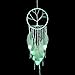 Proboths Feather Hanging Decor, Exquisite Manual Dream Catcher Luminous Feather Hanging Ornament for Wall and Car