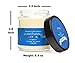 Pure Plant Home Apothecary Jar Vegan Coconut Wax 100% Pure Essential Oils 3.1 ounce wish on a star holiday candlethumb 2