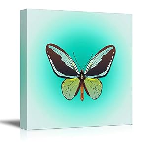 Colorful Butterfly Pictures Home Wall for Bedroom Living...