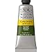 Winsor & Newton Galeria Acrylic Color, 60ml (2-oz) Tube, Olive Green