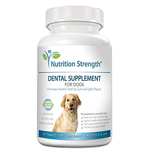 Nutrition Strength Dental Care for Dogs, Daily Supplement for Healthy