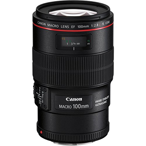 Canon EF 100mm f/2.8L Macro Lens