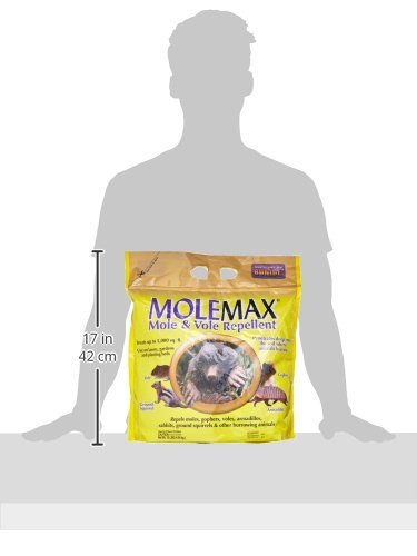 Bonide MOLEMAX Mole & Vole Repellent Granules - Image 3