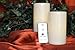 LED Lytes Flameless Candles, 2 Ivory Wax and Pale Yellow Flame Pillars Battery Operated with Remote for Christmas Holiday Decorations and Gifts