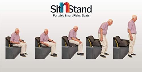 sit n stand plus