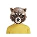 Marvel Guardians of The Galaxy Rocket Raccoon Action Mask