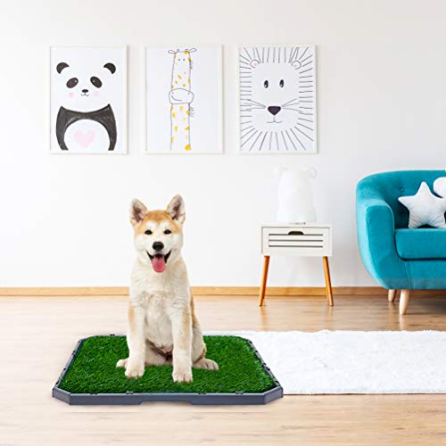 BINGPET Dog Grass Training Potty Pad, with Foldable Tray and Washable