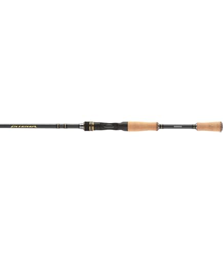 Shimano EXPRIDE, Freshwater, Bass, Casting, 7'2”, Medium Light, 1 pcs, (EXC72MLB) Fishing : Sports & Outdoors