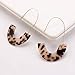 Acrylic Statement Earrings Tortoise Shell Earrings Fashion Jewelry Big Hoop Drop Earrings For Women