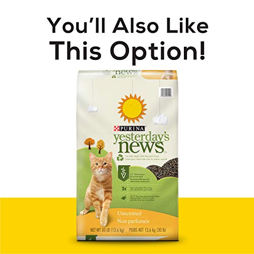 Purina Yesterday's News Non Clumping Paper Cat Litter, Unscented Low