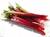 Victoria Rhubarb 100 Seeds - Heirlooom -Used in Pies, Tarts, Muffins and Jams, Organic