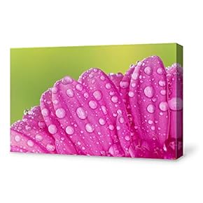 Canvas Wall Art for Living Room,Bedroom Home Artwork Paintings Close-up of Flower Ready to Hang - 12x18 inches