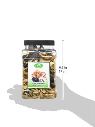 Mushroom House Dried Mushrooms, Gourmet Mix, 5 Ounce - Thumbnail 2