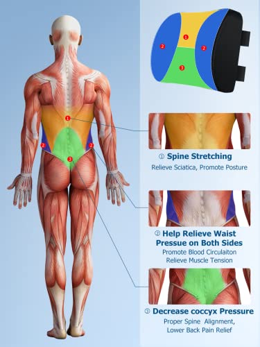 Lumbar Support Pillow for Office, Memory Form Back Support with Adjustable Strap& Breathable 3D Mesh & Air Fiber for Back Pain Relief, Lumbar Pillow for Gaming Chair Computer Car Seat