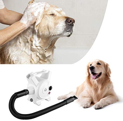 mini goldendoodle separation anxiety