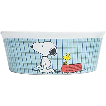 Pet Supplies : Peanuts Snoopy "All Gone" Dog Food Bowl - Heavy ...