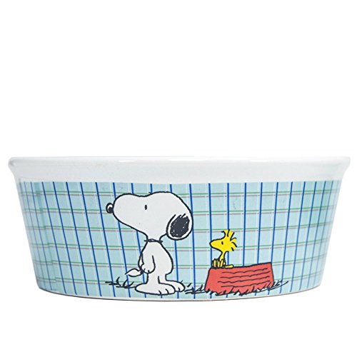 snoopy dog dish