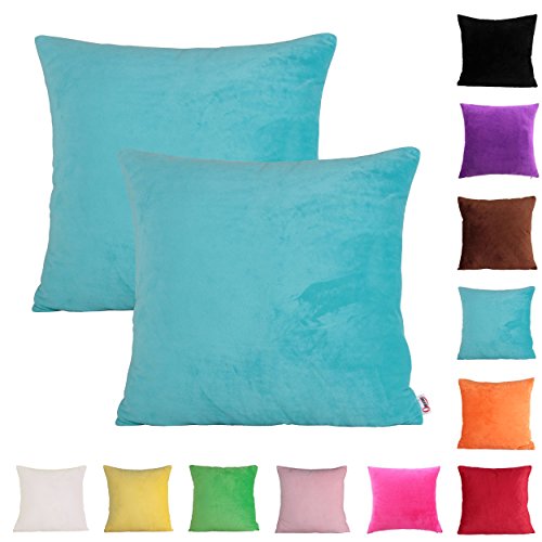 Queenie® - 2 Pcs Solid Color Chenille Decorative Pillowcase Cushion Cover for Sofa Throw Pillow Case Available in 11 Colors & 6 Sizes (20 x 20 inch (50 x 50 cm), Sky Blue)