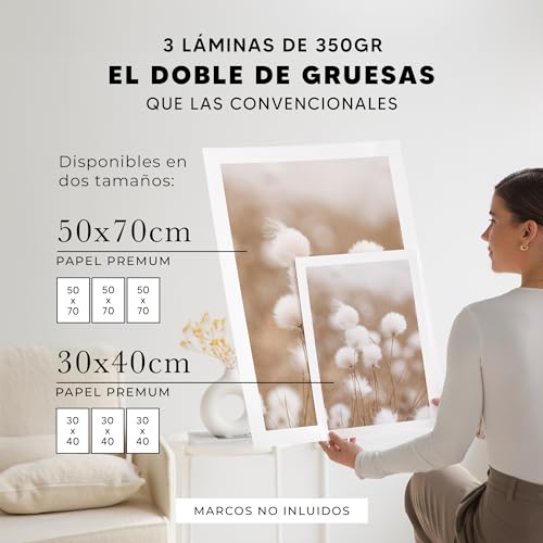 OHBIMBA® Set of 3 Modern Living Room Decorative Wall Posters – Decorative Pictures Wall Decoration – Decorative Canvas (30 x 40 cm – Without Frame)