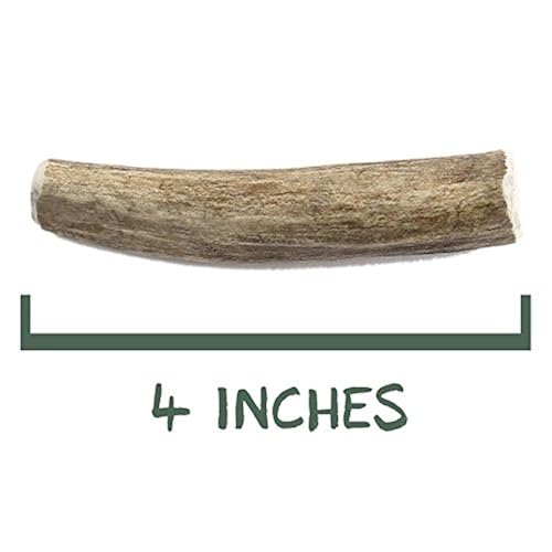 Pet Supplies, Dogs, Treats, Bones
