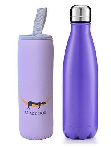 A lazy dog vacuum insulated water bottle 17 oz double w…