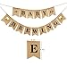 A Baby is Brewing Baby Shower Decorations Banner Gender Reveal Party Decoration Supplies Diaper Party Decor Baby Brewing Sign with Beer Mug & Baby Bottle Design Pre-Strung