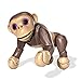 Zoomer - Chimp