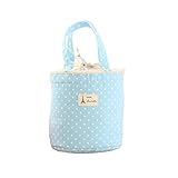 Franterd Waterproof Picnic Insulated Fashion Lunch Cooler Tote Bag Travel Organizer Box (Blue)