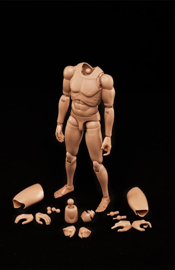 Mua 1/6 Scale Action Figures for Custom Asian/Europe Skin Muscular ...